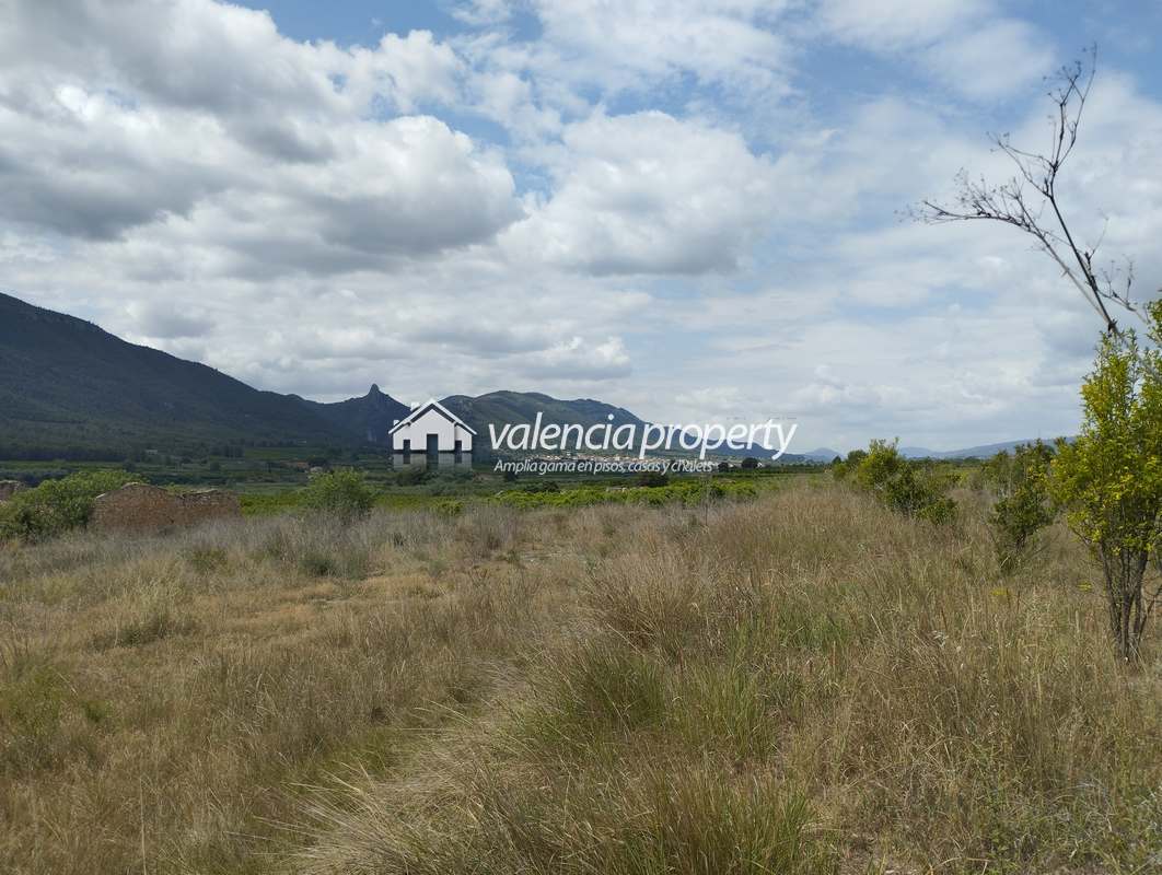 48.000sqm of country side with sheds and pool, near Xativa