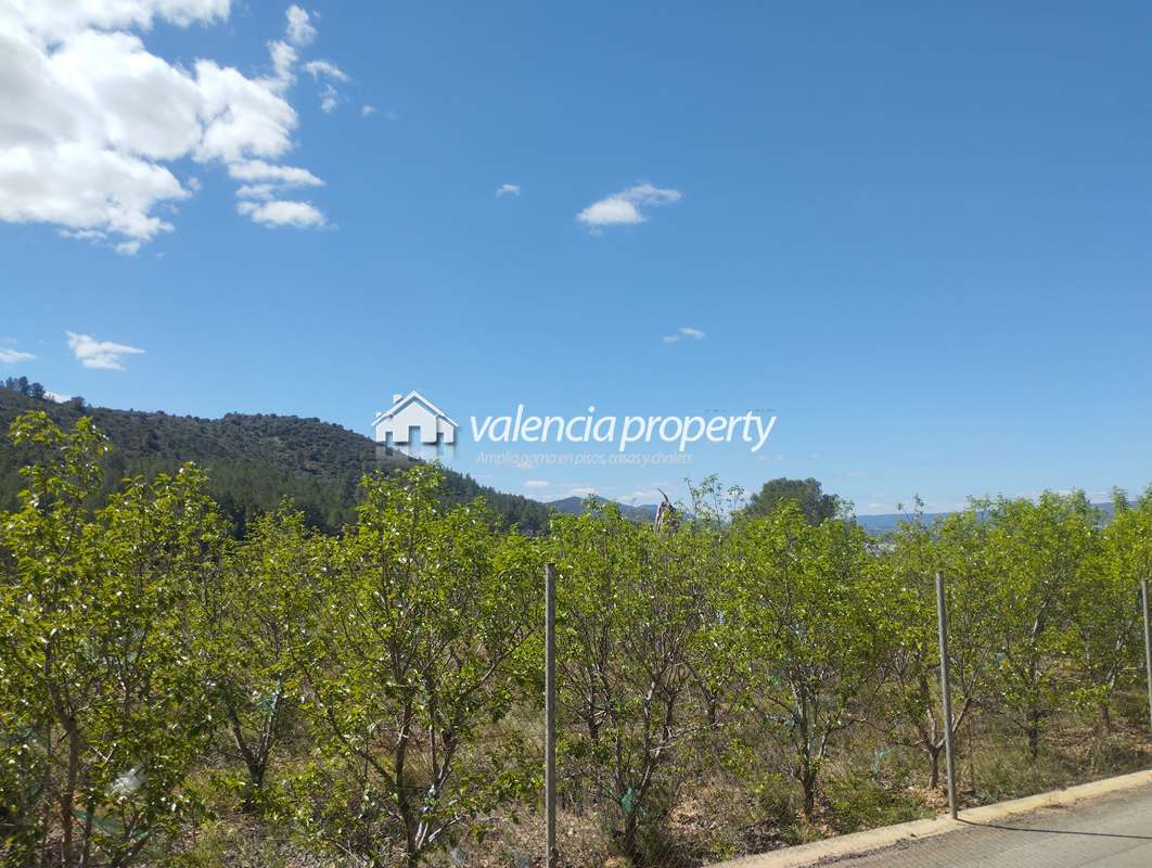 Building plot for detached house and swimming pool, near Xativa