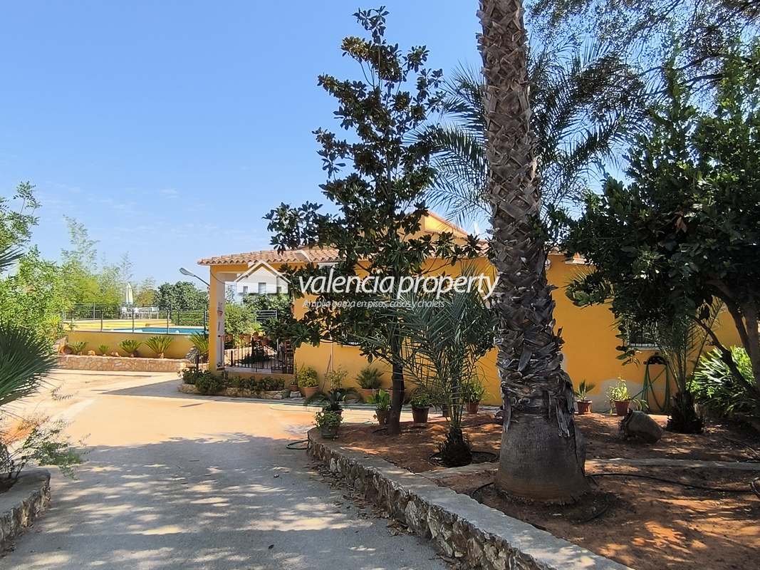 House in the orange groves, near Canals